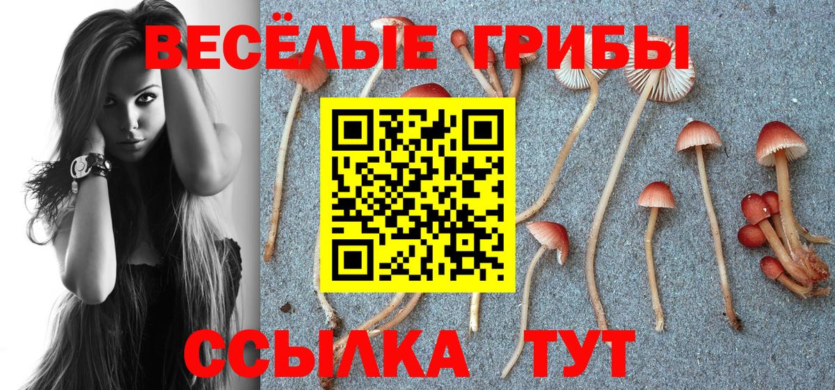 Псилоцибиновые грибы прущие грибы Великие Луки