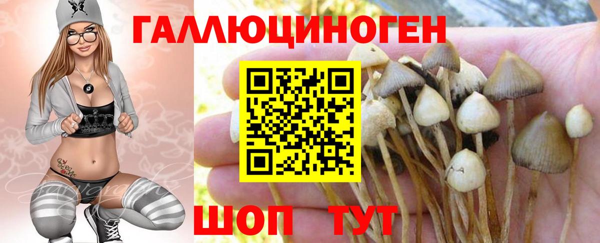 Псилоцибиновые грибы GOLDEN TEACHER  Вход с VPN  Великие Луки 